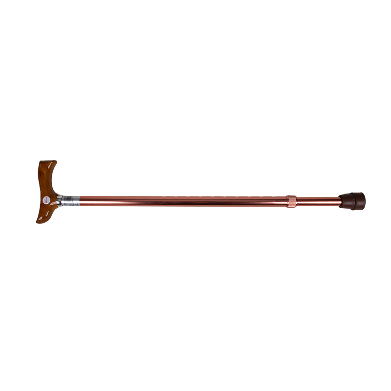 Single-Leg Height-Adjustable Cane